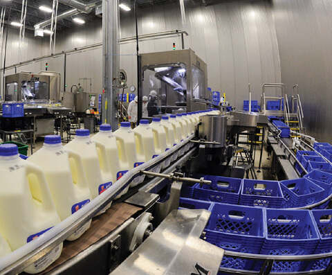 Dairy and Milk Industries